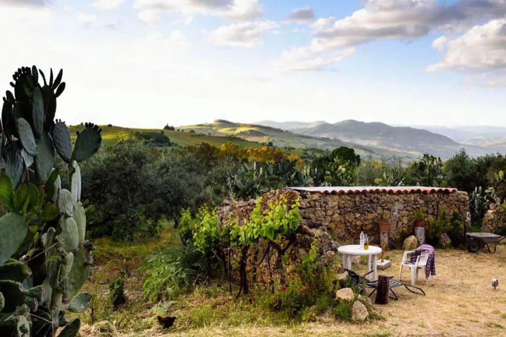 Aussicht von der Olivenplantage OlivenOnkel in Agira